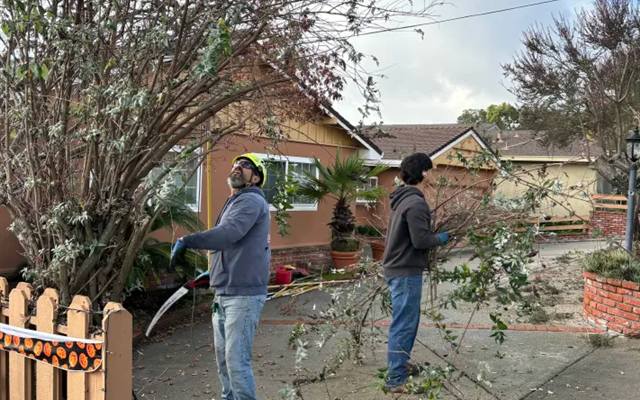 Brush and land clearing