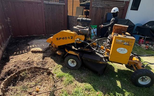 Tree and stump removal