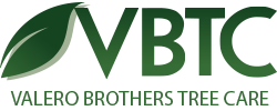 Valero Brothers Tree Care